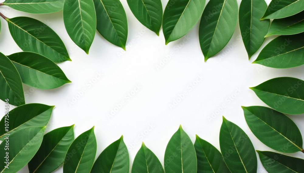 Fresh Green Leaves Frame Design Fresh Green Leaves Frame Design