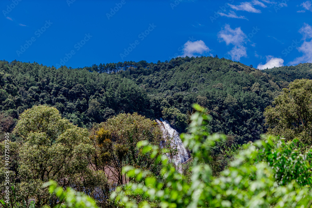 Obraz premium Panoramic nature background from the viewpoint with mountains, big trees, green rice fields, the joy of adventure travel and energy conservation from the ecosystem.