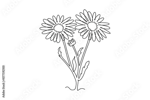 Single continuous line drawing beauty fresh bellis perennis for home wall decor poster art. Printable decorative common daisy flower concept. Dynamic one line draw graphic design vector illustration