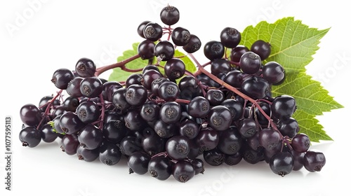 Close-up of Black Elderberries with Green Leaves on White Background