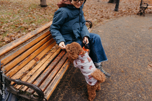 Playful Dog Stroll on a Chilly Day photo