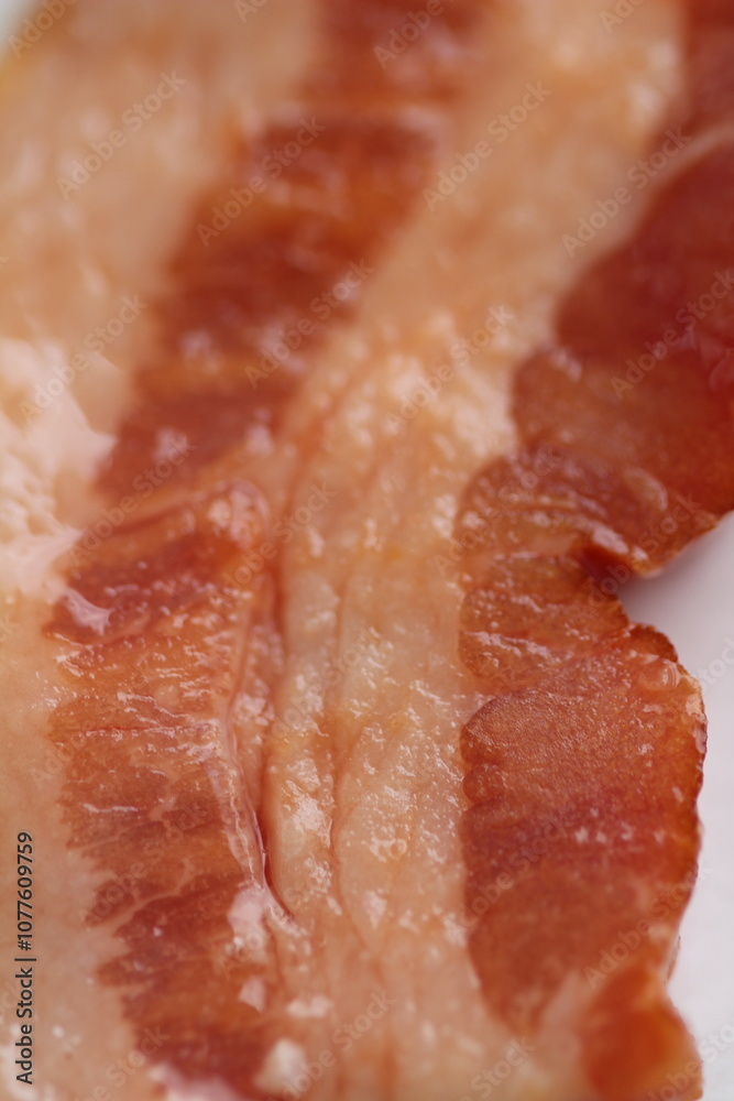 Macro Images of Raw Meats Like Beef, Salmon, Bacon, Salami Macro Images of Raw Meats Like Beef, Salmon, Bacon, Salami