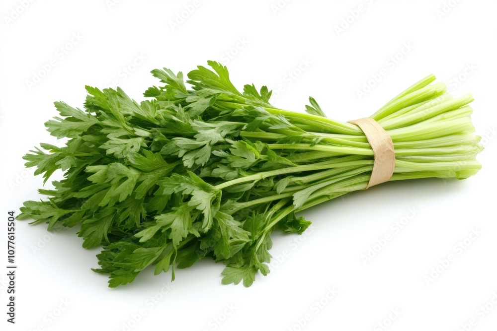 Bunch of fresh parsley on white background represents serenity.