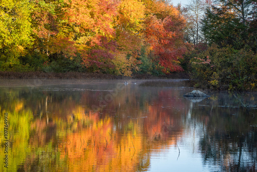 fall foliage trees with refection pond 