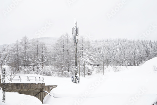 Snow Scenery of Daegwallyeong, Gangwon-do, Korea photo