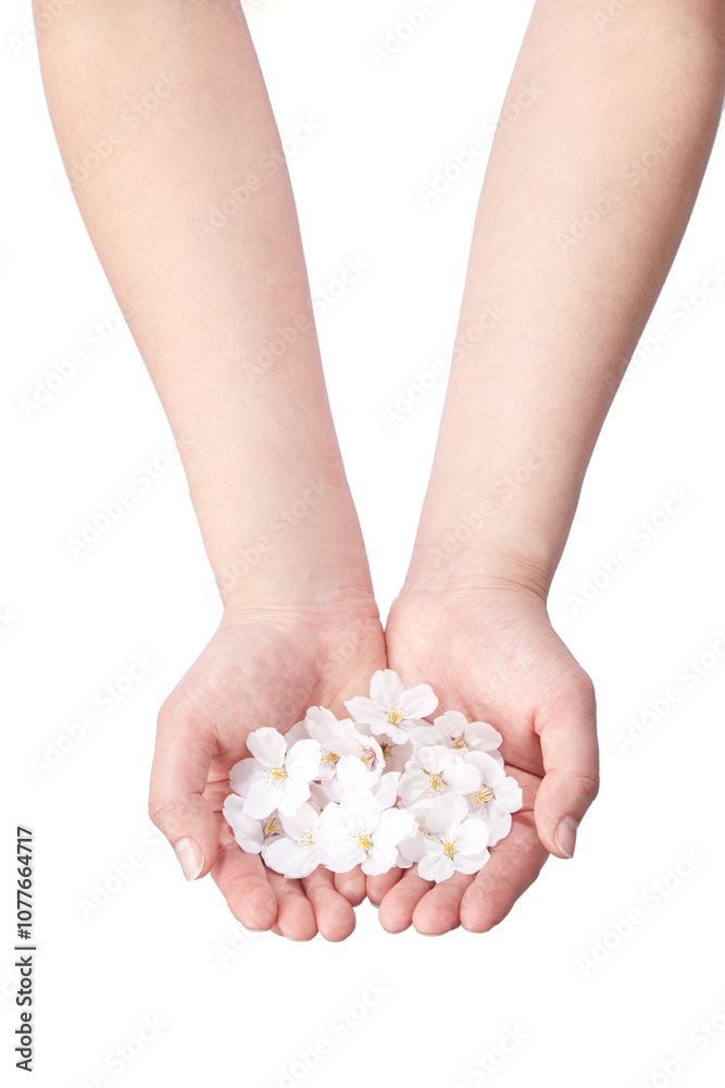 hand