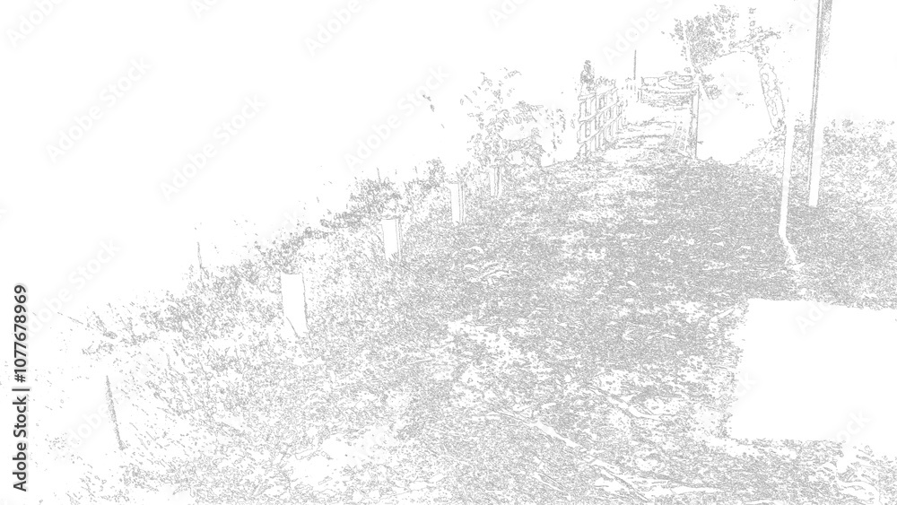 Fototapeta premium Artistic and abstract image. Wallpaper