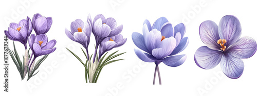 A beautiful collection of purple flowers showcasing various shapes and styles, perfect for decoration and floral design.