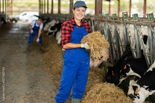 Young woman farmer feeds cows with hay from her hands on dairy farm