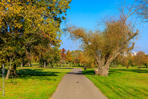 A path in a park with trees and a clear blue sky