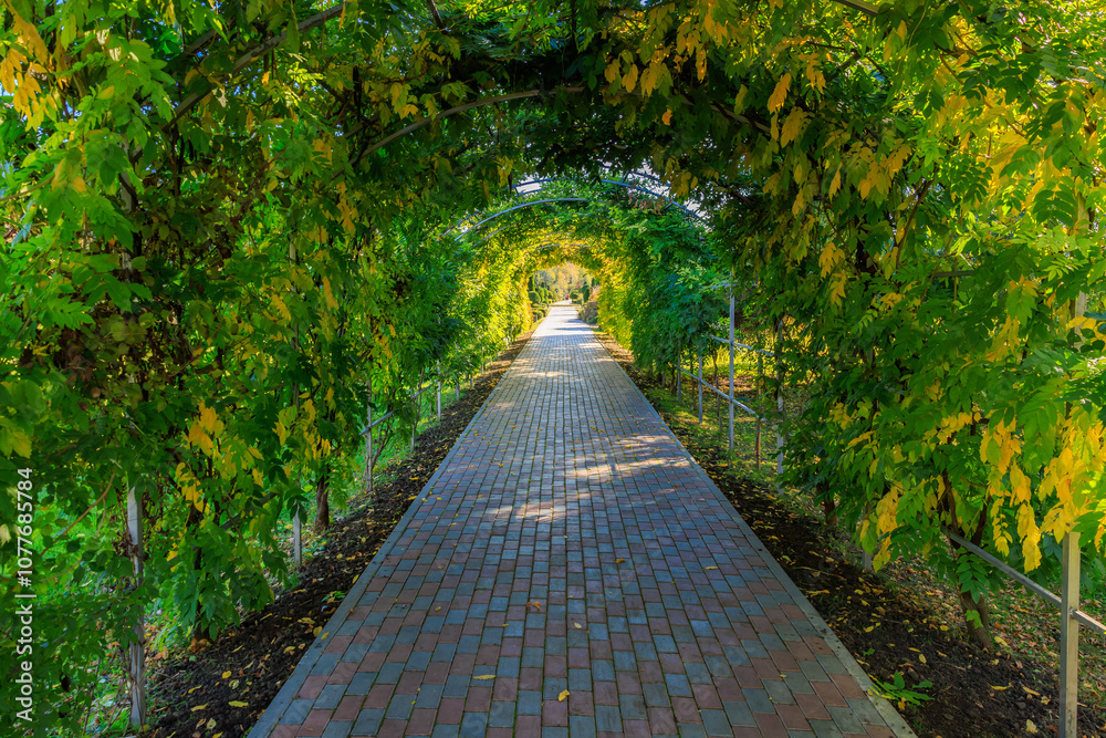 A brick walkway with a green archway leading through it A brick walkway with a green archway leading through it