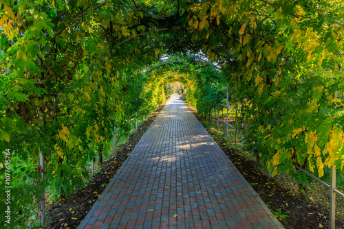 A brick walkway with a green archway leading through it