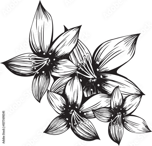 手書きの緻密なリアルな花の線画イラスト装飾