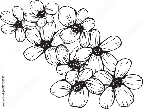 手書きの緻密なリアルな花の線画イラスト装飾