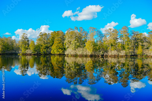 Fototapeta Naklejka Na Ścianę i Meble -  Winter Landscape of Hillsborough river at Lettuce lake park	
