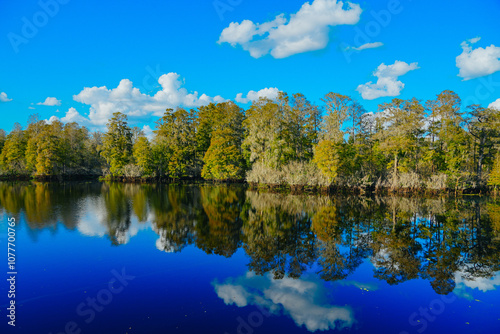 Winter Landscape of Hillsborough river at Lettuce lake park 