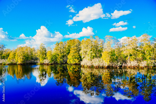 Winter Landscape of Hillsborough river at Lettuce lake park	
