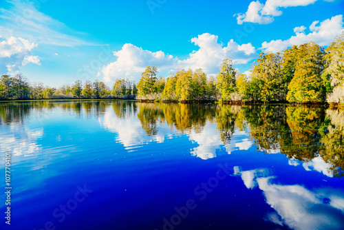 Fototapeta Naklejka Na Ścianę i Meble -  Winter Landscape of Hillsborough river at Lettuce lake park	
