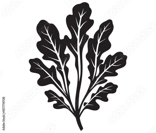 Arugula silhouette vector, Leaf silhouette icon, Arugula vegetable leaf illustration