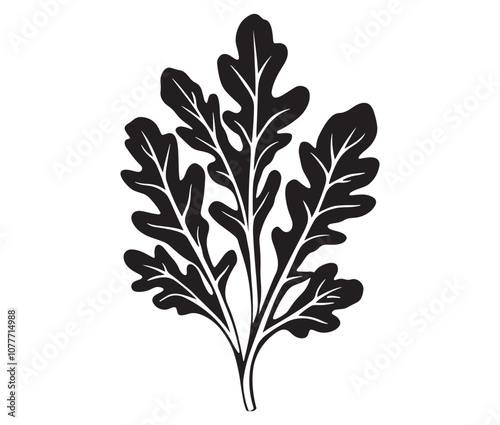 Arugula silhouette vector, Leaf silhouette icon, Arugula vegetable leaf illustration