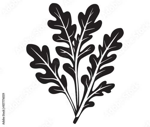Arugula silhouette vector, Leaf silhouette icon, Arugula vegetable leaf illustration