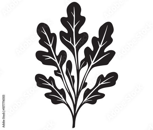 Arugula silhouette vector, Leaf silhouette icon, Arugula vegetable leaf illustration