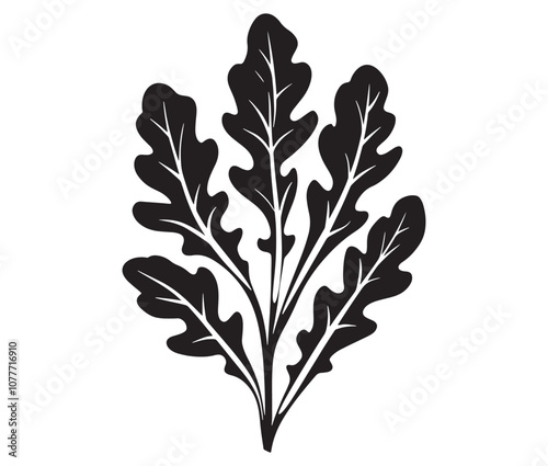 Arugula silhouette vector, Leaf silhouette icon, Arugula vegetable leaf illustration