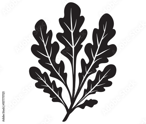 Arugula silhouette vector, Leaf silhouette icon, Arugula vegetable leaf illustration