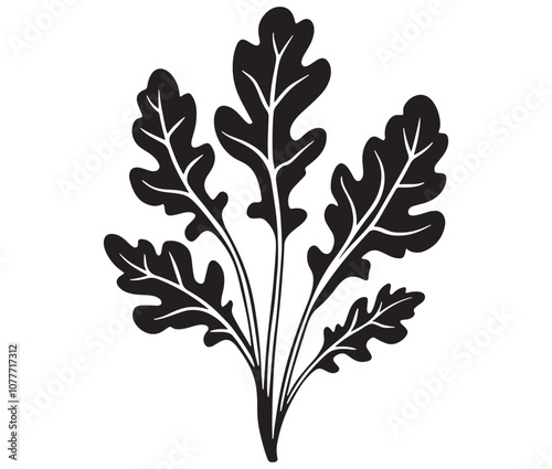 Arugula silhouette vector, Leaf silhouette icon, Arugula vegetable leaf illustration