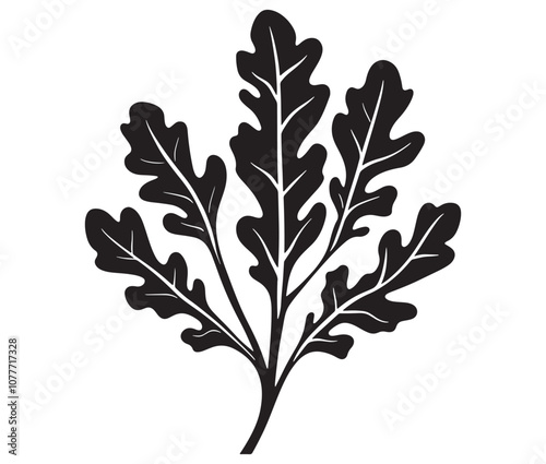 Arugula silhouette vector, Leaf silhouette icon, Arugula vegetable leaf illustration