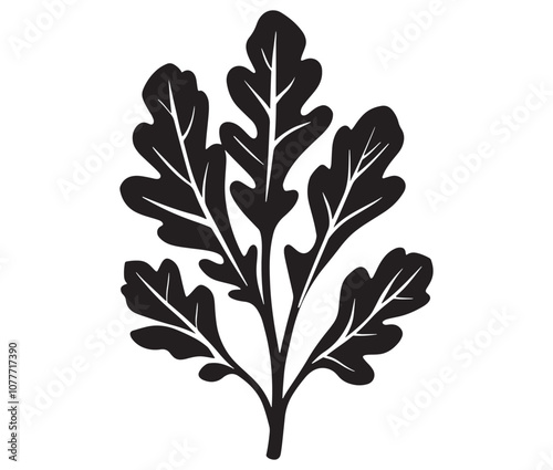 Arugula silhouette vector, Leaf silhouette icon, Arugula vegetable leaf illustration
