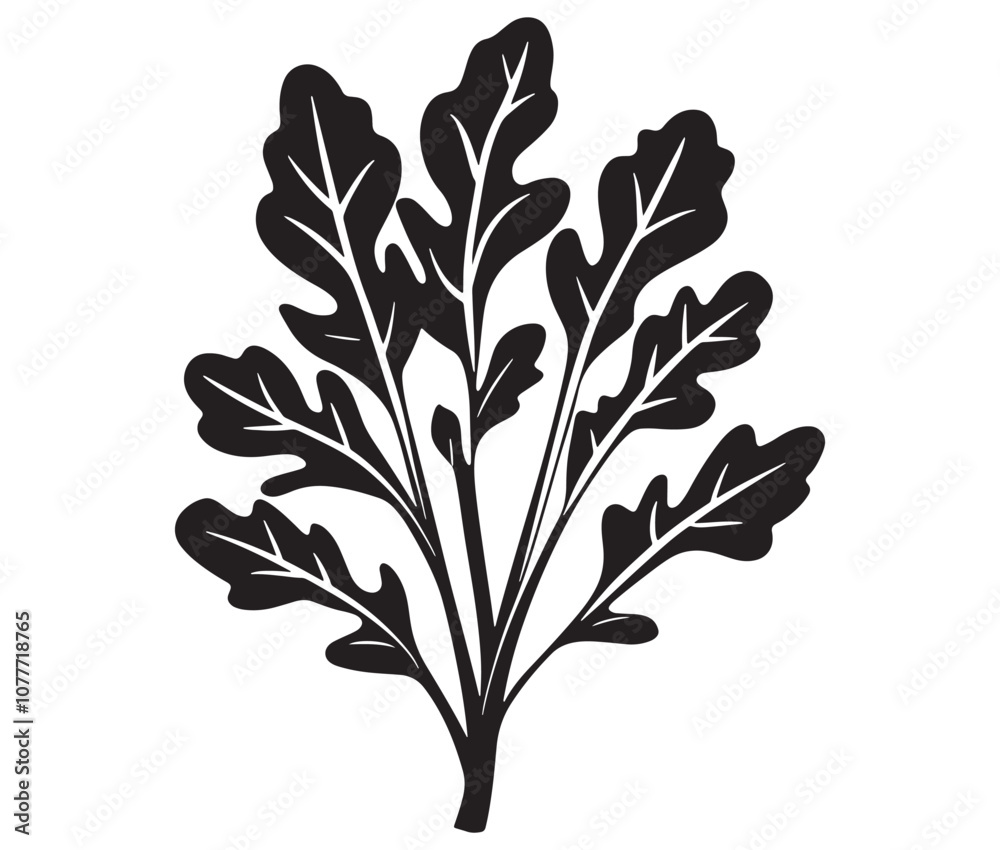 Arugula silhouette vector, Leaf silhouette icon, Arugula vegetable leaf illustration Arugula silhouette vector, Leaf silhouette icon, Arugula vegetable leaf illustration
