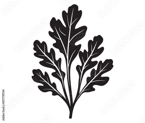 Arugula silhouette vector, Leaf silhouette icon, Arugula vegetable leaf illustration