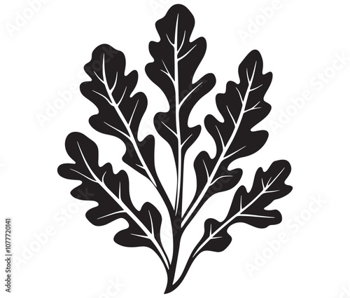 Arugula silhouette vector, Leaf silhouette icon, Arugula vegetable leaf illustration