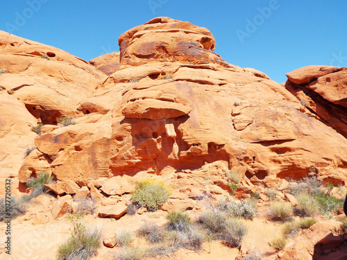 Valley of Fire is one of the most incredible natures wonder of Southern Nevada with plenty of red rocks and ancient petroglyphs    photo