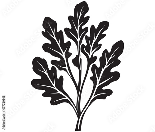 Arugula silhouette vector, Leaf silhouette icon, Arugula vegetable leaf illustration