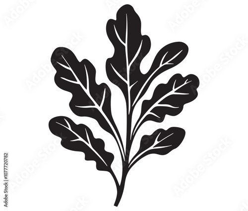 Arugula silhouette vector, Leaf silhouette icon, Arugula vegetable leaf illustration