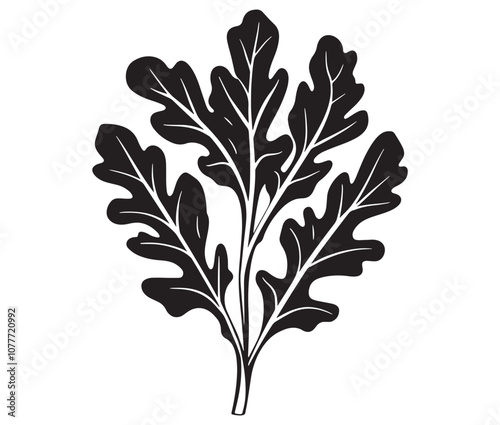 Arugula silhouette vector, Leaf silhouette icon, Arugula vegetable leaf illustration