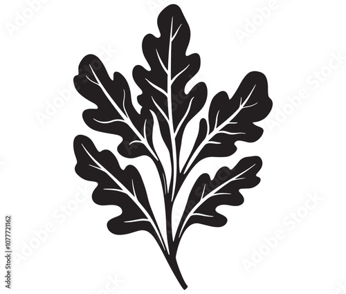 Arugula silhouette vector, Leaf silhouette icon, Arugula vegetable leaf illustration