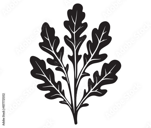 Arugula silhouette vector, Leaf silhouette icon, Arugula vegetable leaf illustration