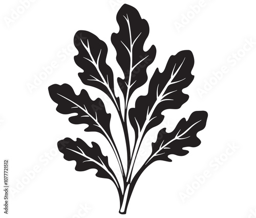 Arugula silhouette vector, Leaf silhouette icon, Arugula vegetable leaf illustration