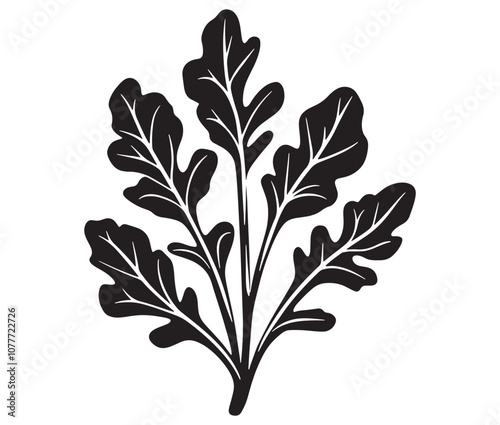 Arugula silhouette vector, Leaf silhouette icon, Arugula vegetable leaf illustration
