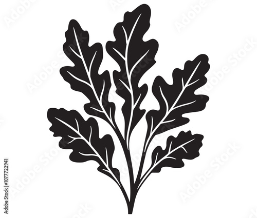 Arugula silhouette vector, Leaf silhouette icon, Arugula vegetable leaf illustration