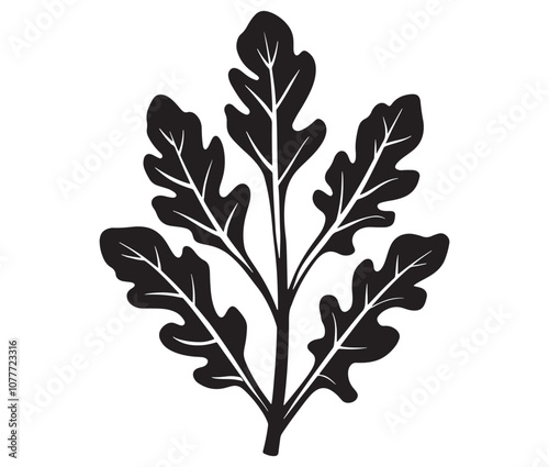 Arugula silhouette vector, Leaf silhouette icon, Arugula vegetable leaf illustration