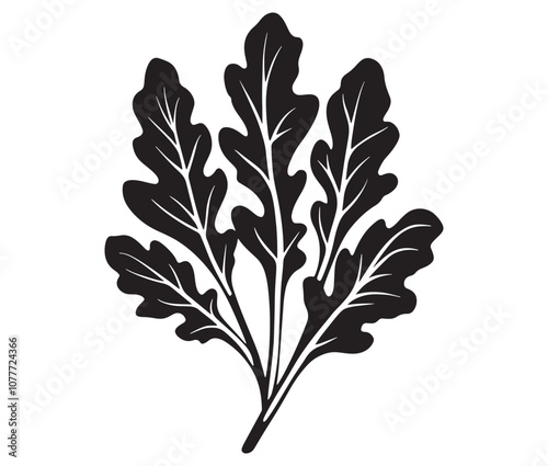Arugula silhouette vector, Leaf silhouette icon, Arugula vegetable leaf illustration