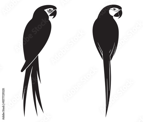 Set of black and white parrots, Black parrot silhouette on white background, Macaw icon silhouette
