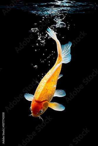 A goldfish is swimming in a dark blue water photo