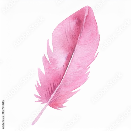 pink watercolor feather isolated on white