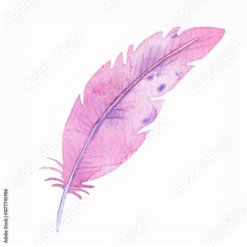 pink watercolor feather isolated on white