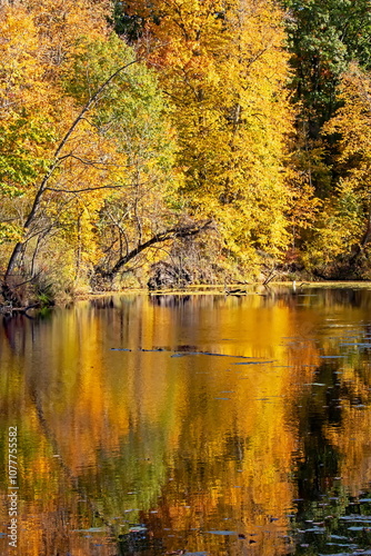 Autumn Colors